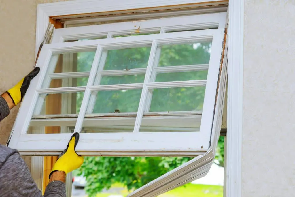 Window Care Tips for New Windows
